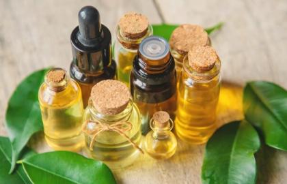 Top 15 Essential Oil Blend Recipes to Transform Your Home & Mood